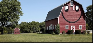 red barn style shed buildings with white trim in an open yard