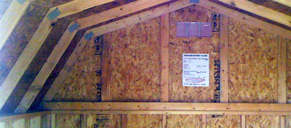 unfinished wood interior of a storage shed with wall framing and open floor space